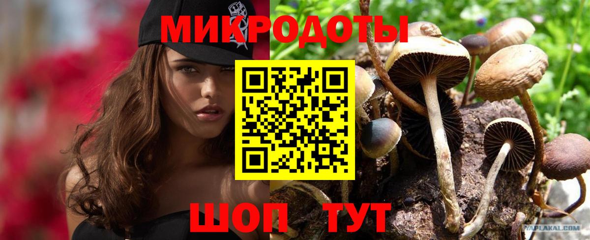 Алексеевка  Галлюциногенные грибы Psilocybe  закладка  Вход с VPN 